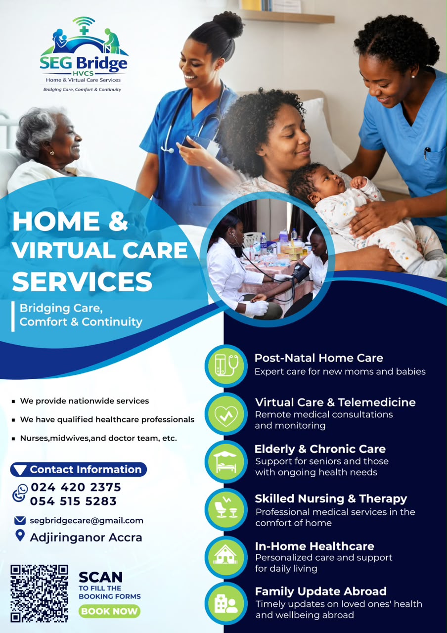 SEG Bridge HVCS care services overview